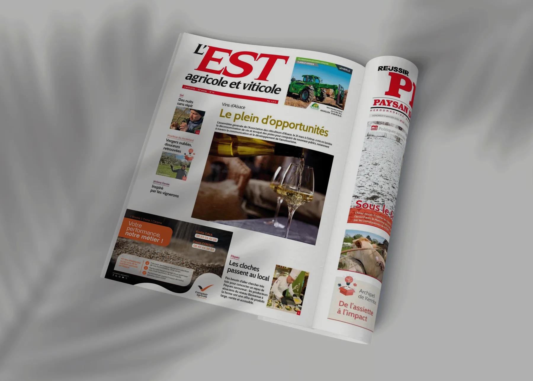 Stratégie de communication - encart presse - Comptoir Agricole - Agence crapules - communication strasbourg_.png