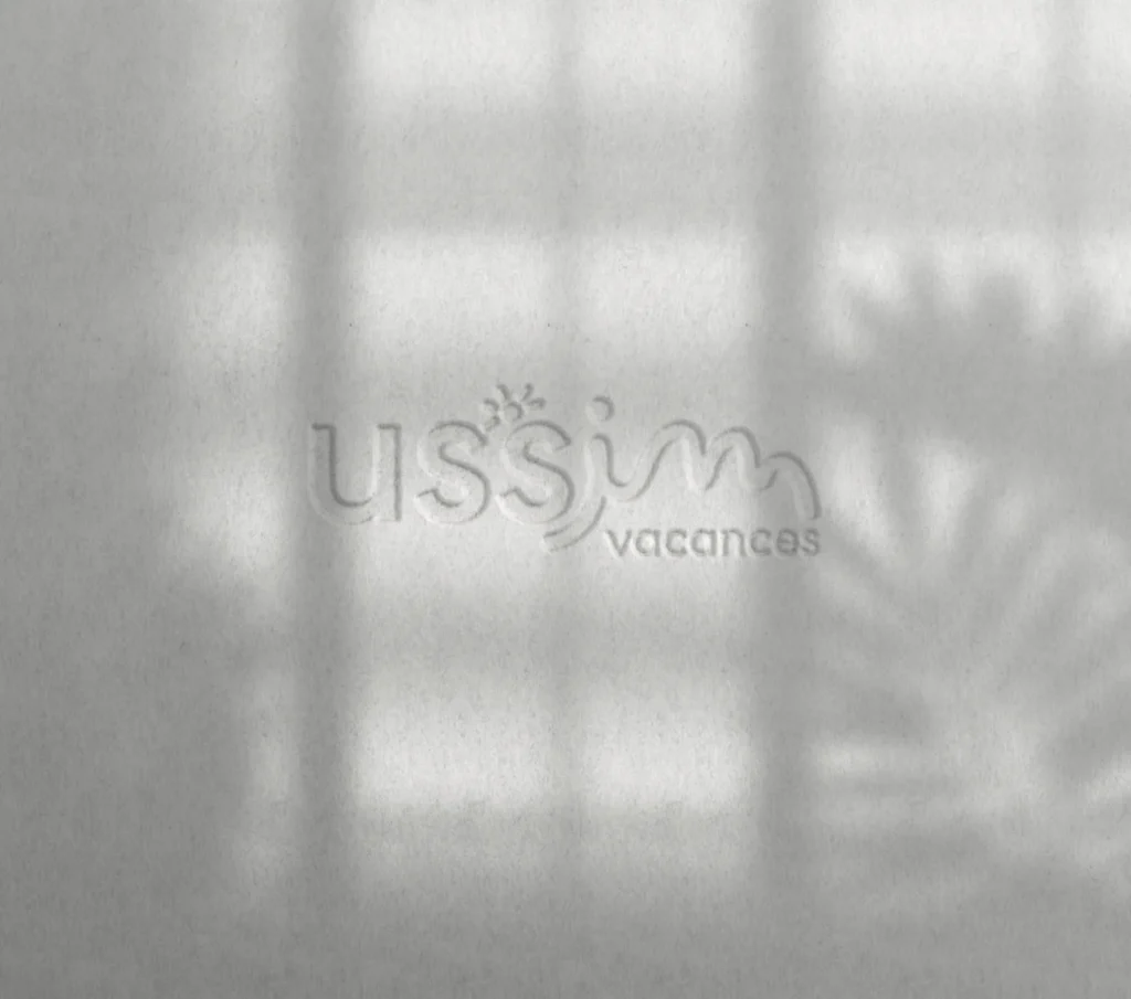 Branding et identité de marque - charte graphique - logo - USSIM - Agence crapules - communication strasbourg