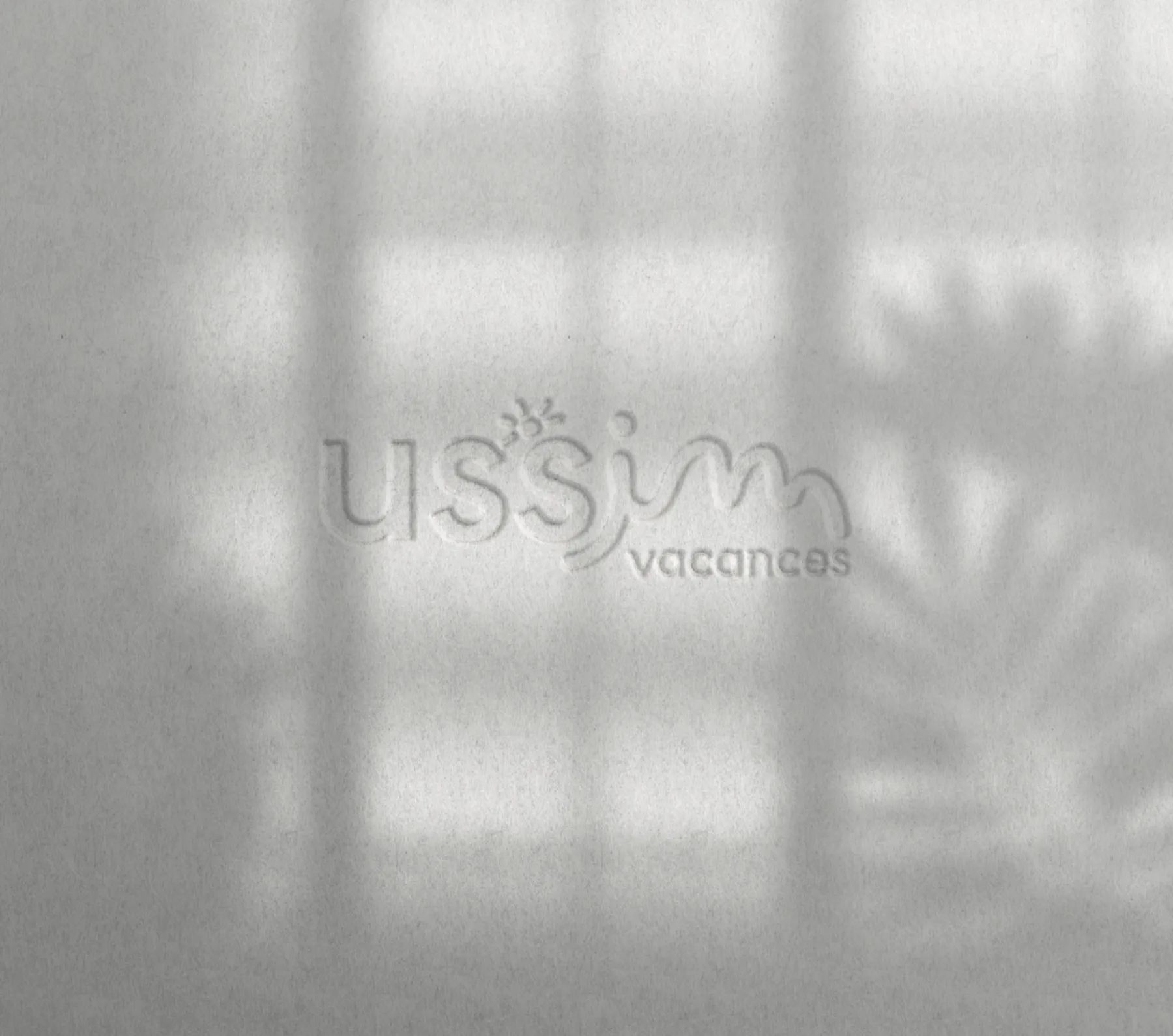 Branding et identité de marque - charte graphique - logo - USSIM - Agence crapules - communication strasbourg